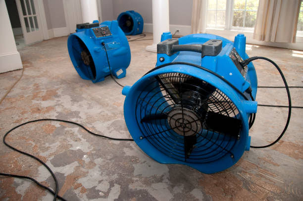 Best Professional water damage repair  in Huntingdon, PA