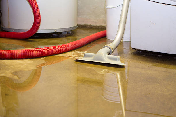 Best Water damage restoration insurance claims  in Huntingdon, PA