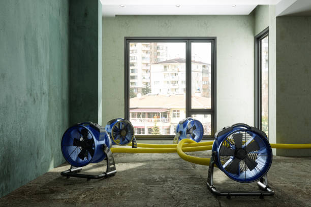 Best 24/7 water damage repair  in Huntingdon, PA
